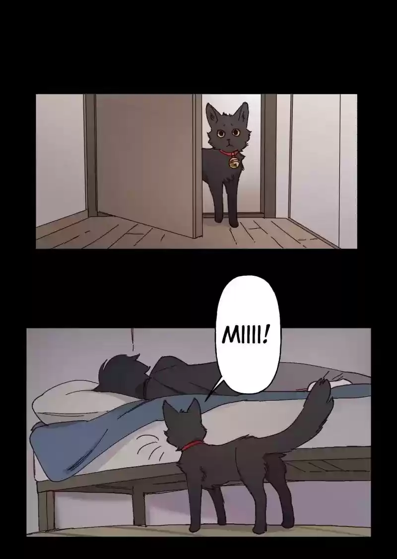 Read LUMINE Manga Online