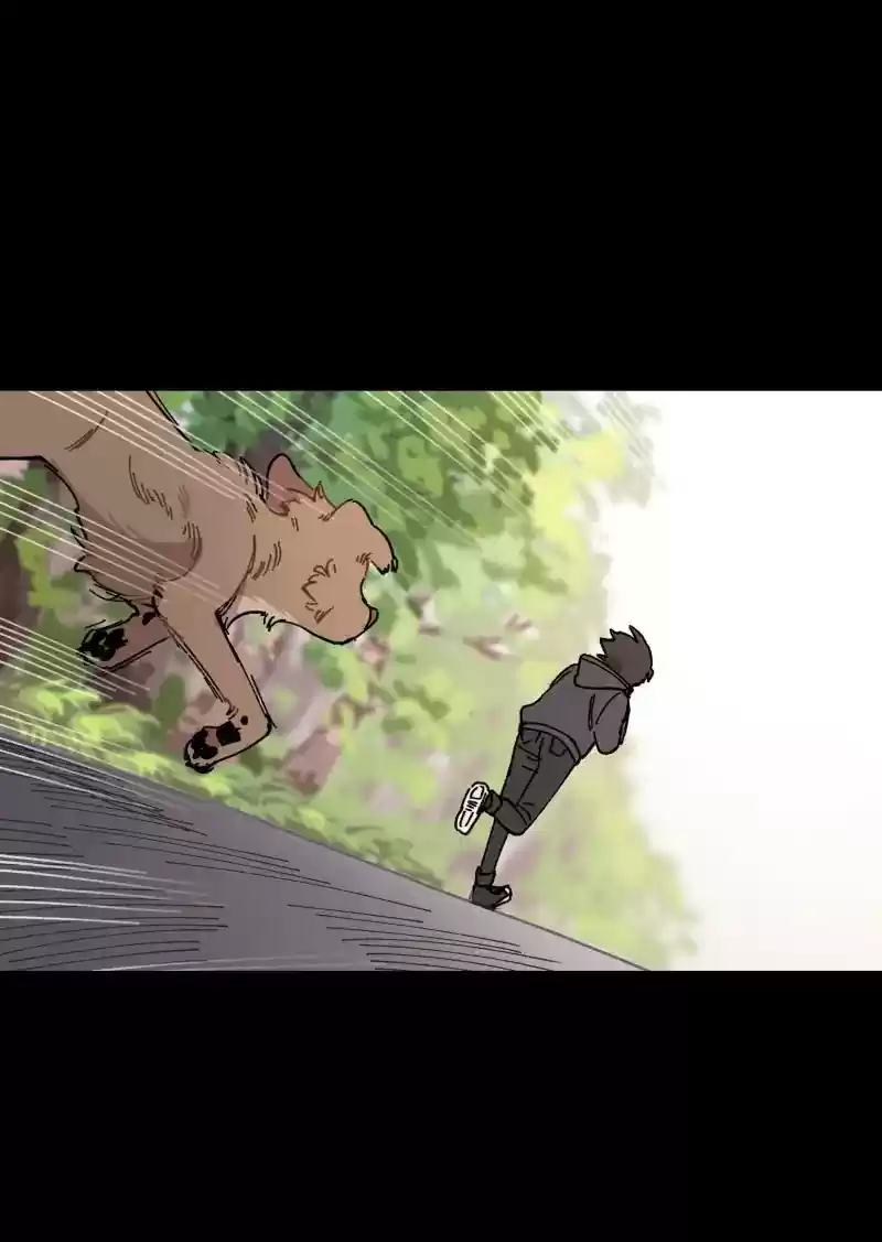 Read LUMINE Manga Online