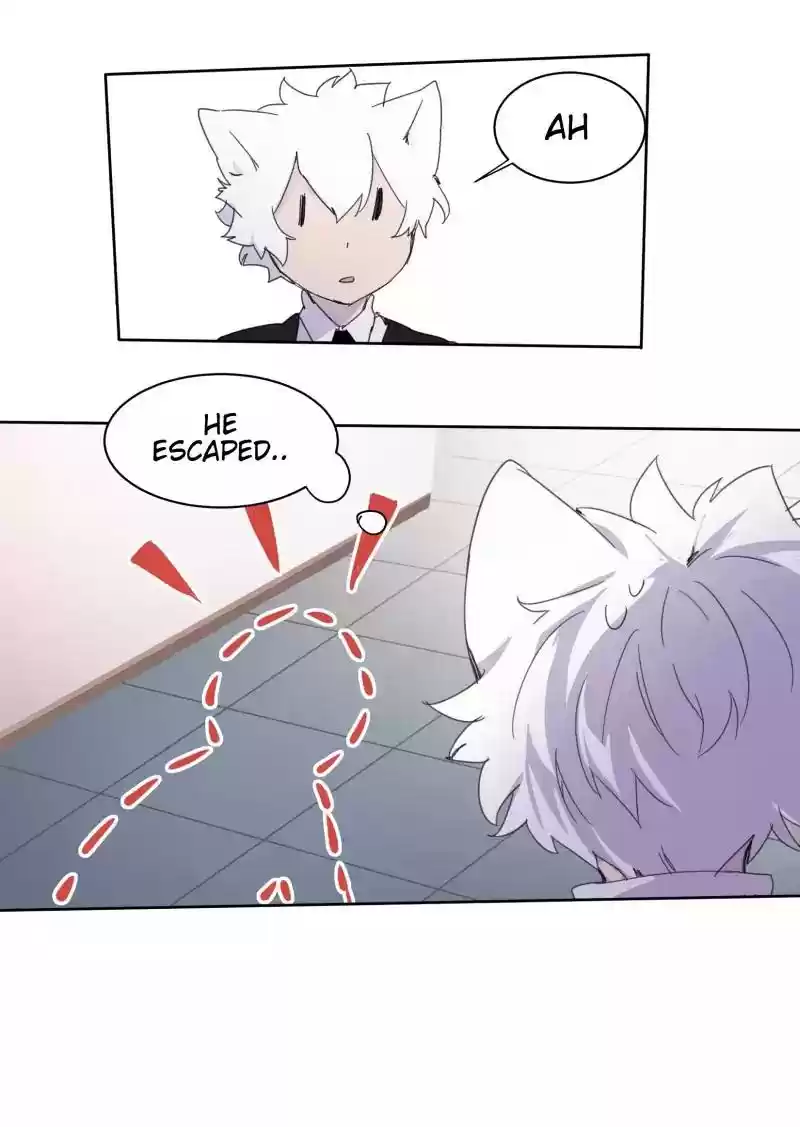 Read LUMINE Manga Online
