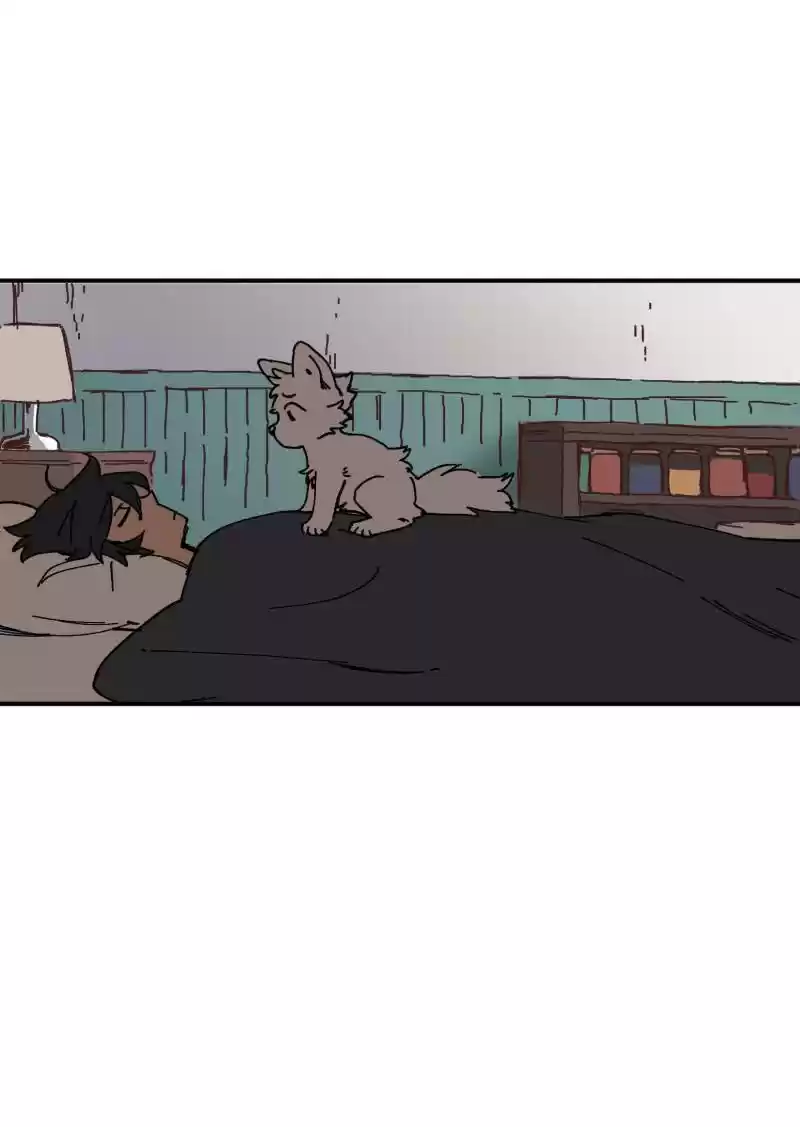 Read LUMINE Manga Online