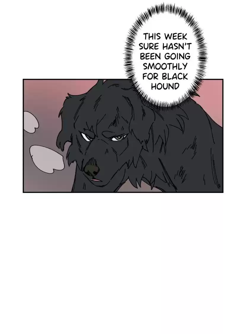 Read LUMINE Manga Online