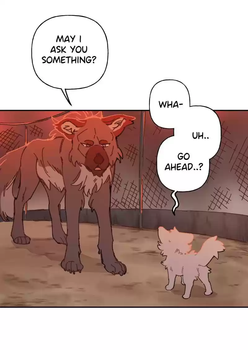 Read LUMINE Manga Online