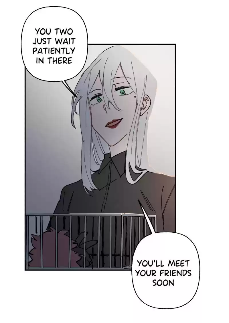 Read LUMINE Manga Online