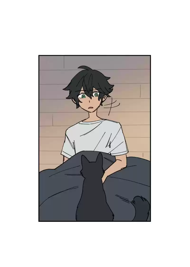 Read LUMINE Manga Online