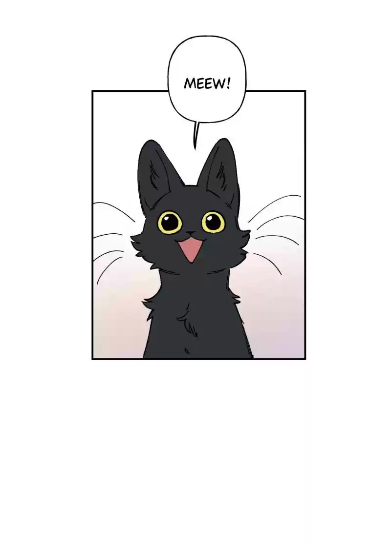Read LUMINE Manga Online
