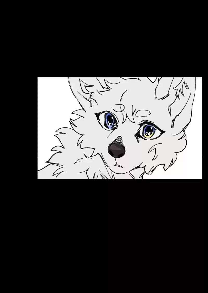 Read LUMINE Manga Online