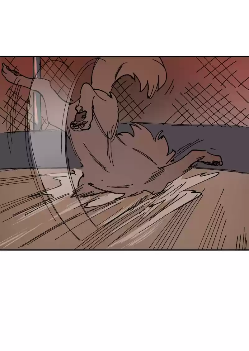 Read LUMINE Manga Online