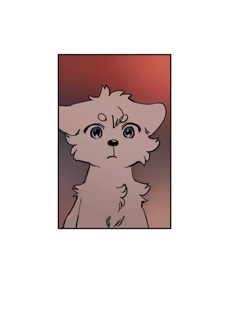 Read LUMINE Manga Online