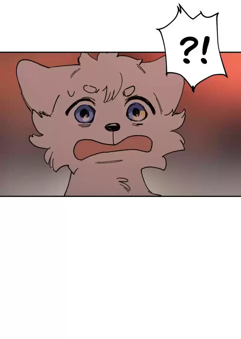 Read LUMINE Manga Online