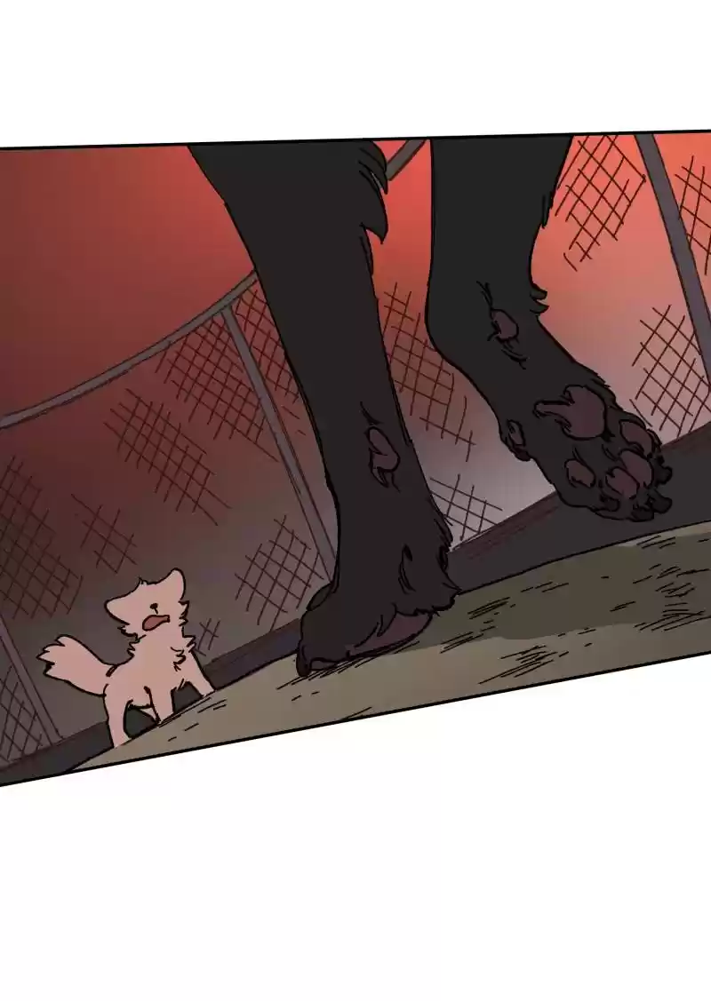 Read LUMINE Manga Online