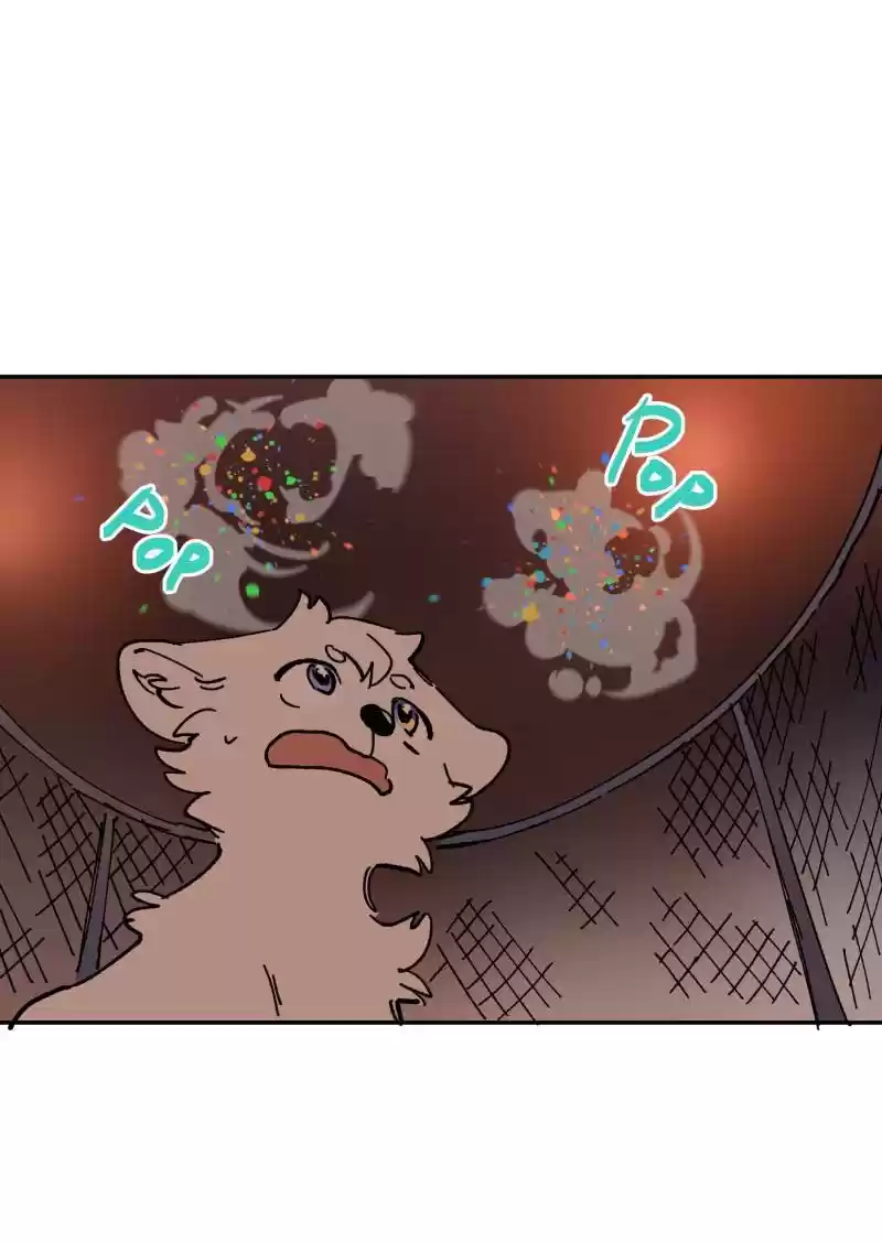 Read LUMINE Manga Online