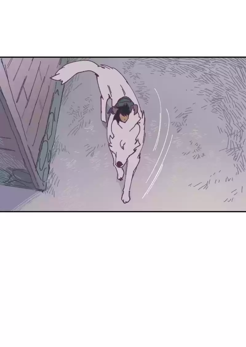 Read LUMINE Manga Online