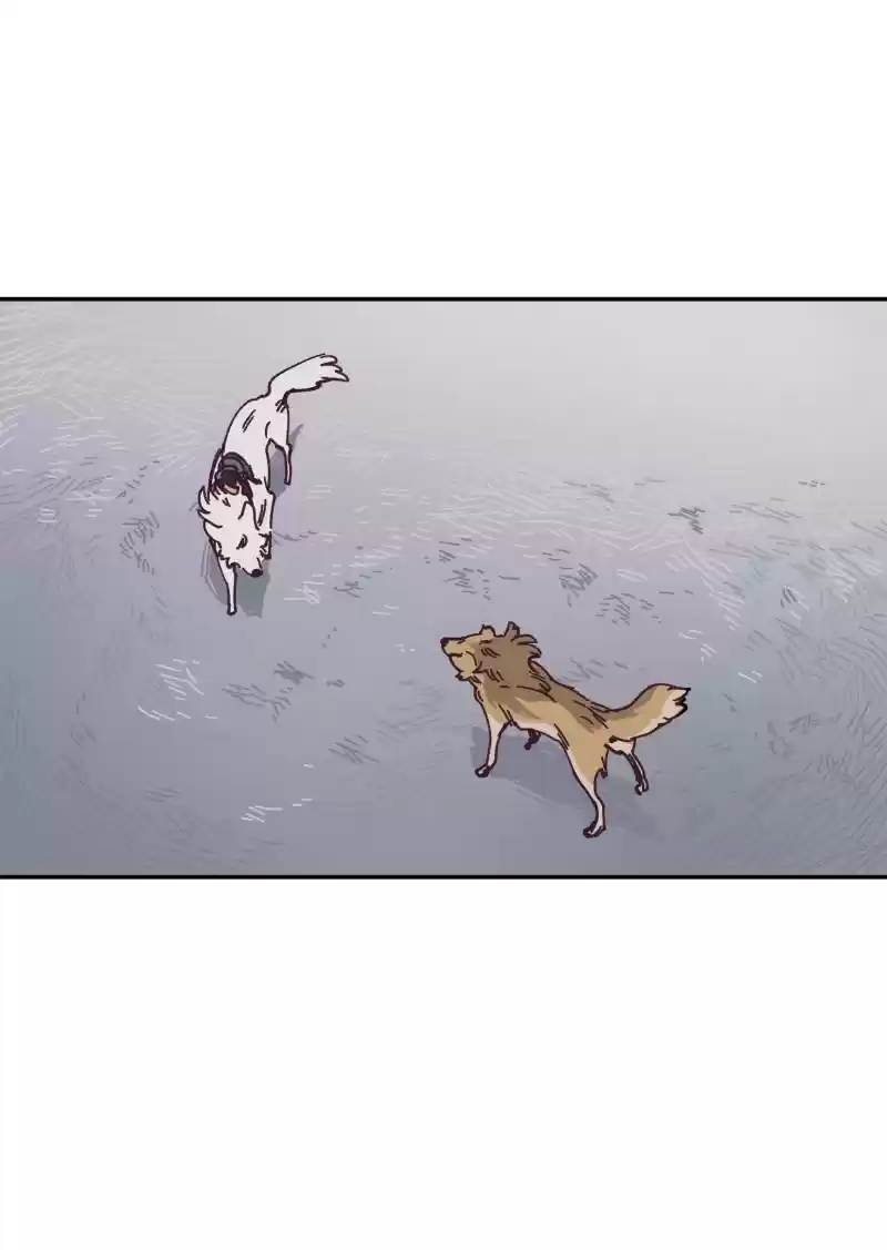 Read LUMINE Manga Online