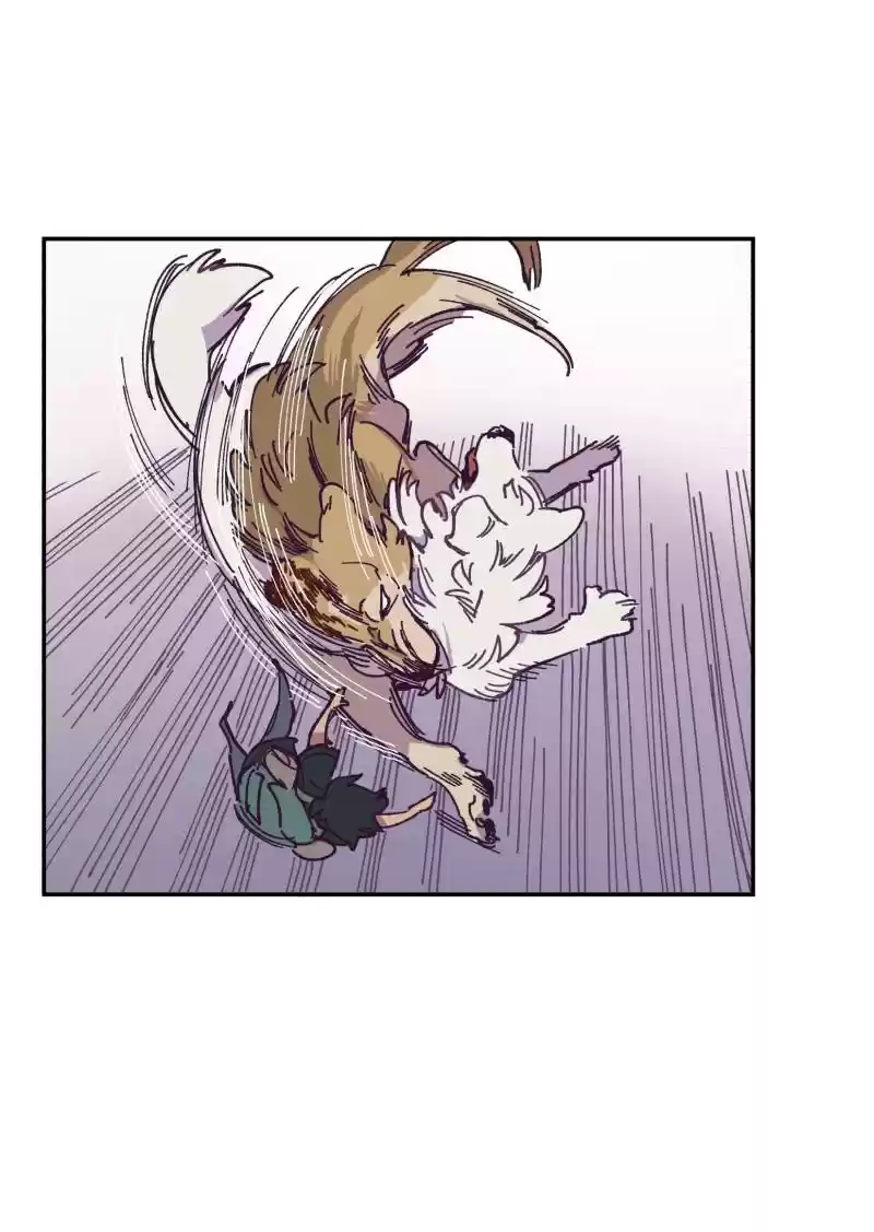 Read LUMINE Manga Online