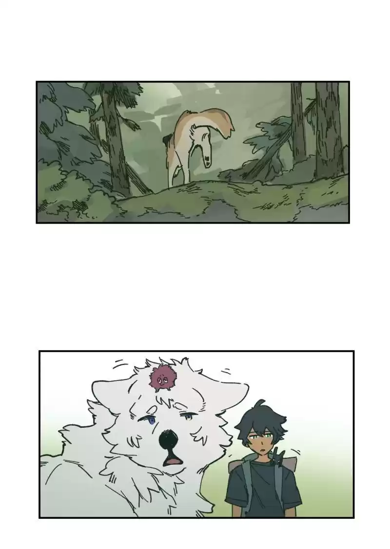 Read LUMINE Manga Online