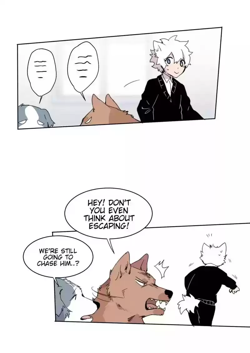 Read LUMINE Manga Online
