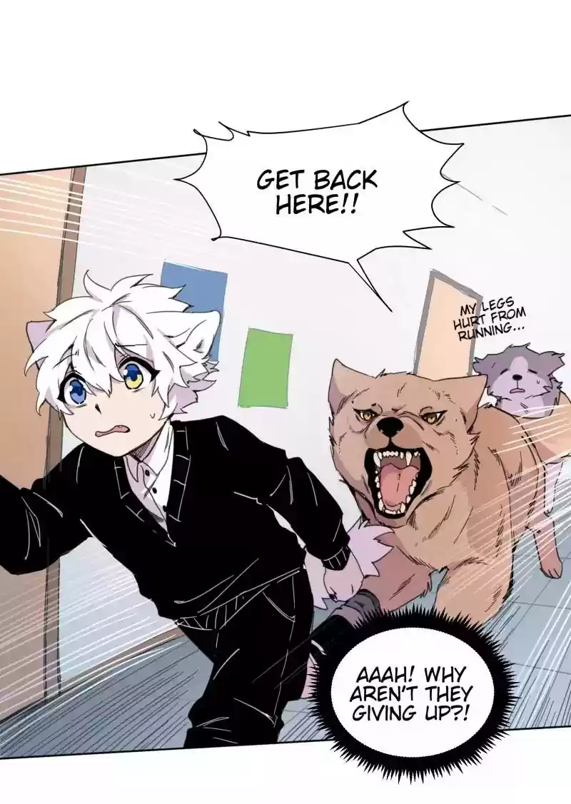 Read LUMINE Manga Online