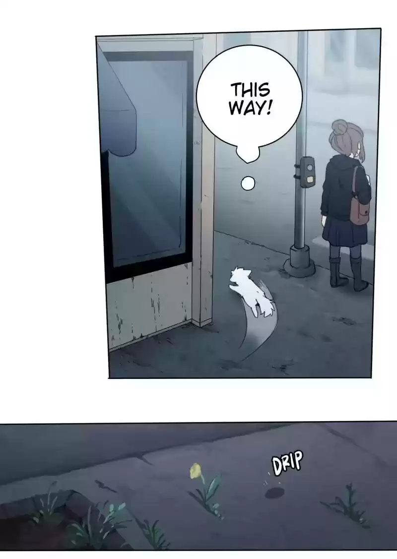 Read LUMINE Manga Online