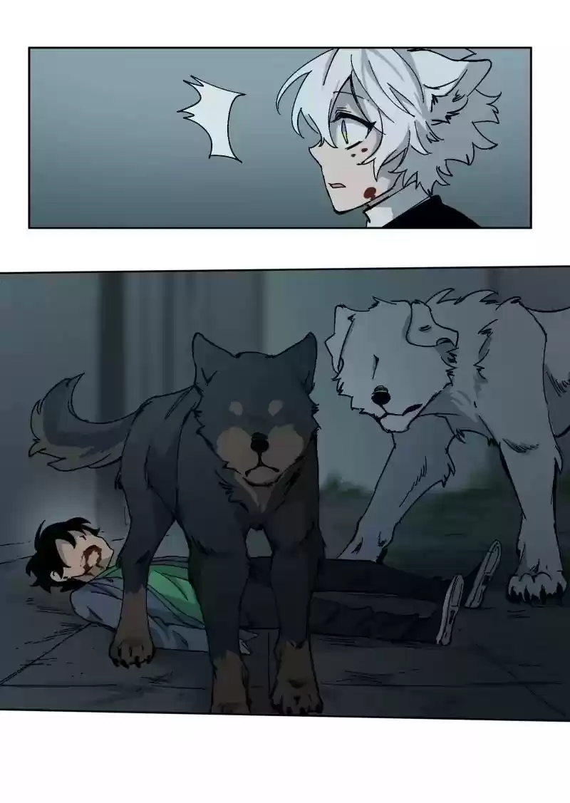 Read LUMINE Manga Online