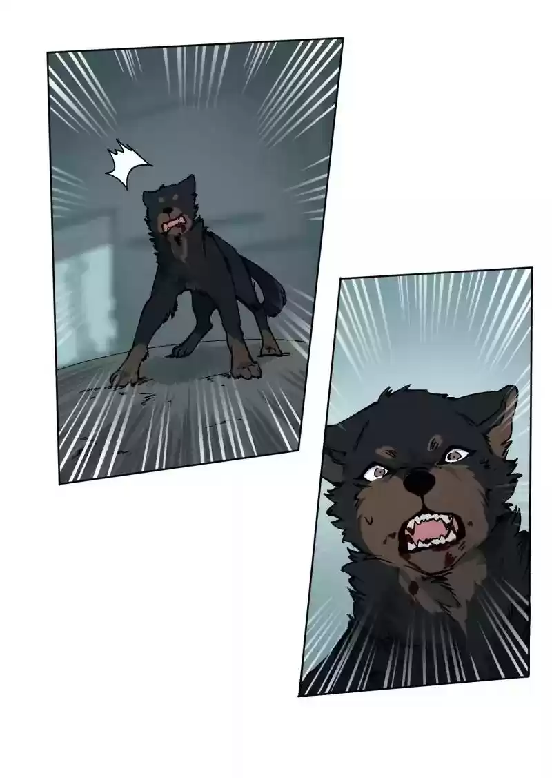 Read LUMINE Manga Online