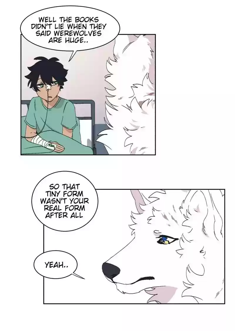 Read LUMINE Manga Online
