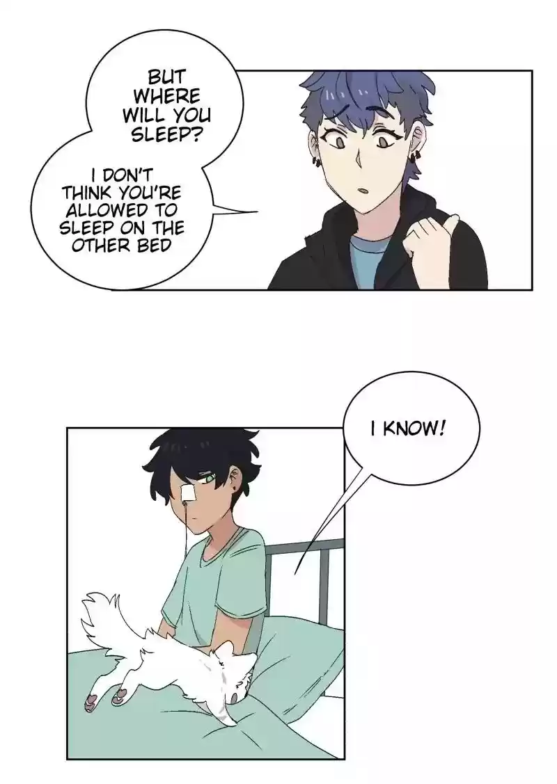 Read LUMINE Manga Online