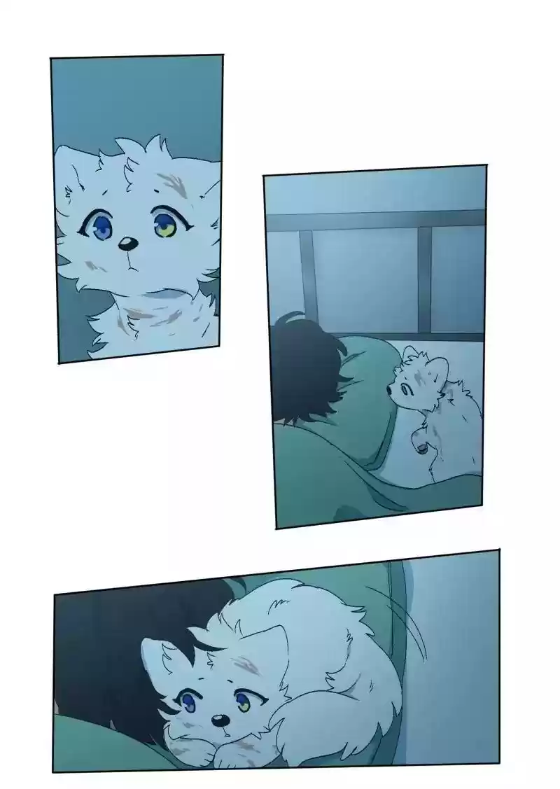 Read LUMINE Manga Online