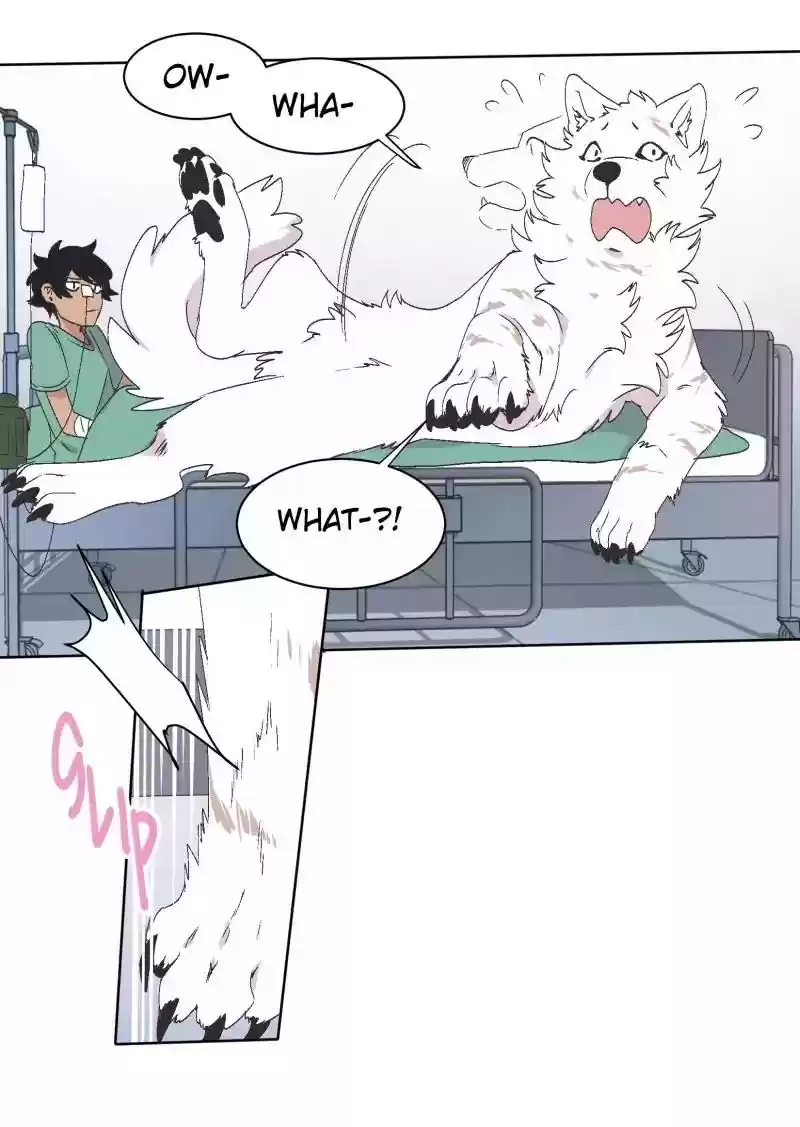 Read LUMINE Manga Online