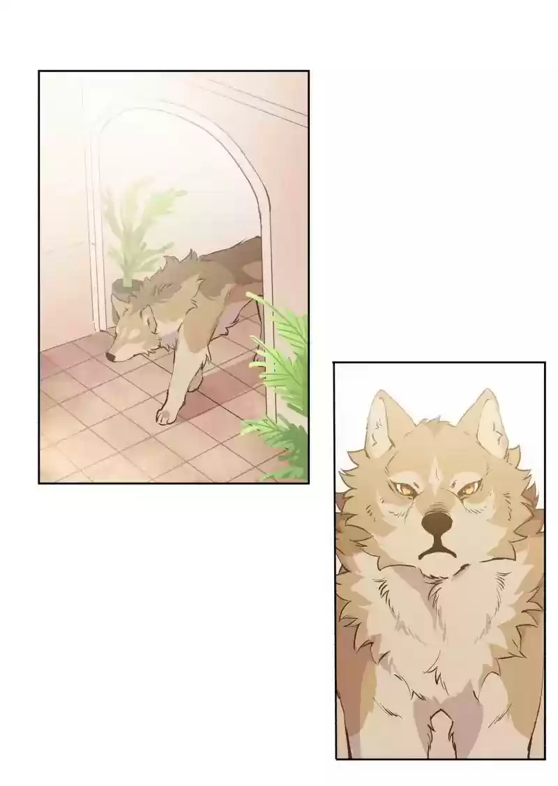 Read LUMINE Manga Online