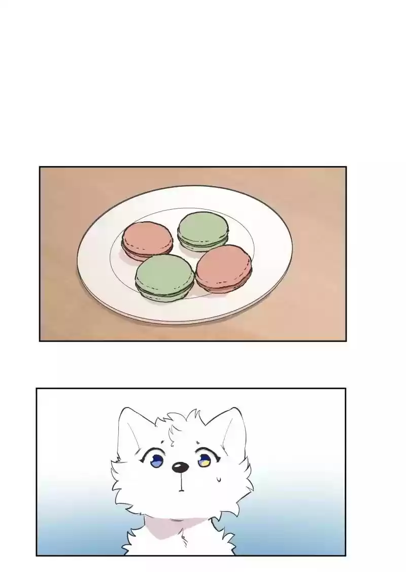 Read LUMINE Manga Online