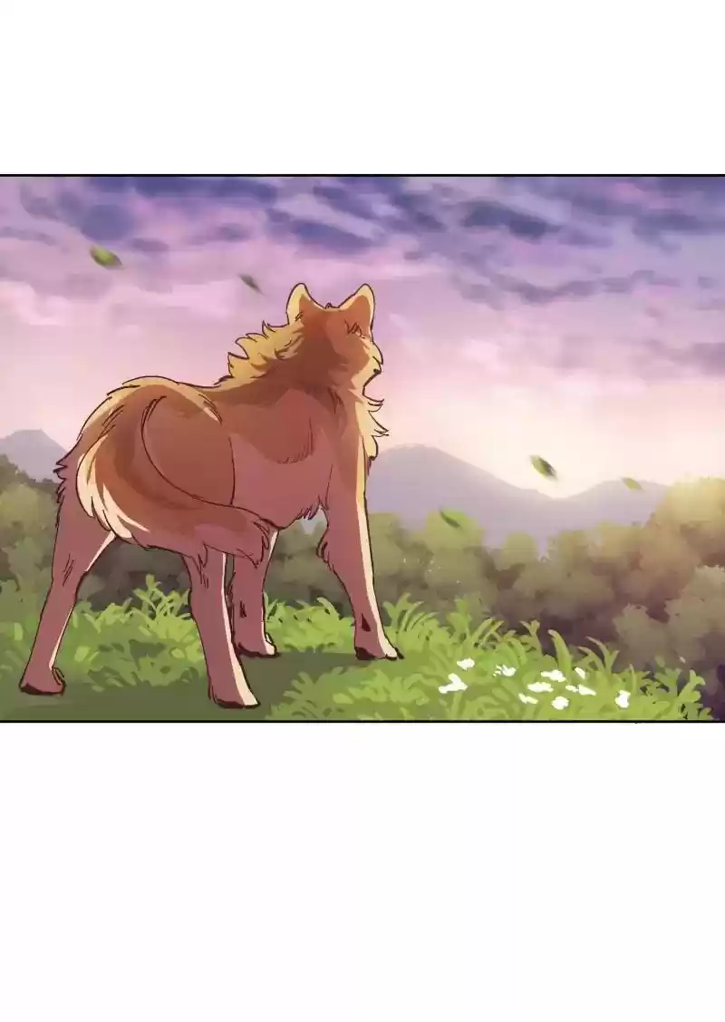 Read LUMINE Manga Online