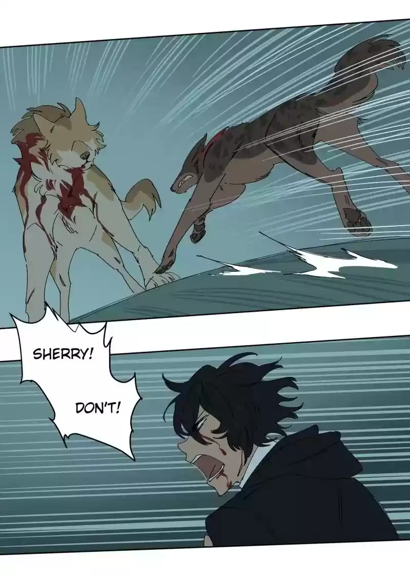 Read LUMINE Manga Online