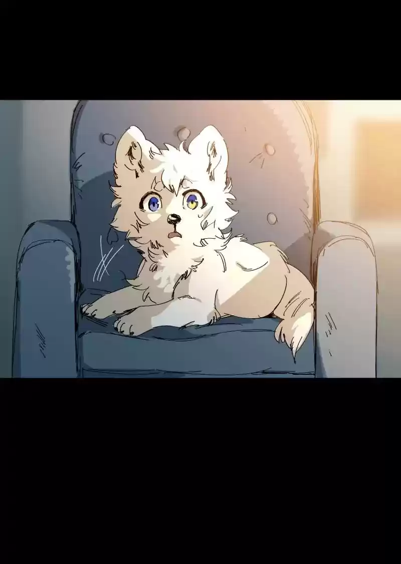 Read LUMINE Manga Online