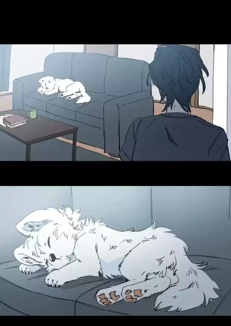 Read LUMINE Manga Online