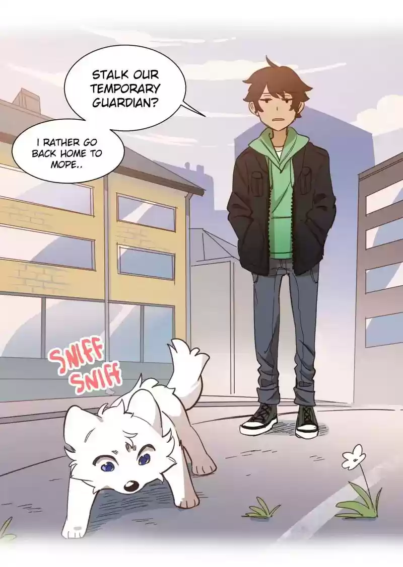 Read LUMINE Manga Online
