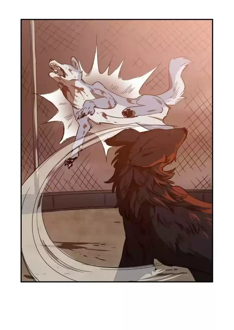 Read LUMINE Manga Online