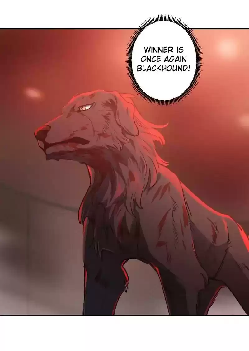 Read LUMINE Manga Online