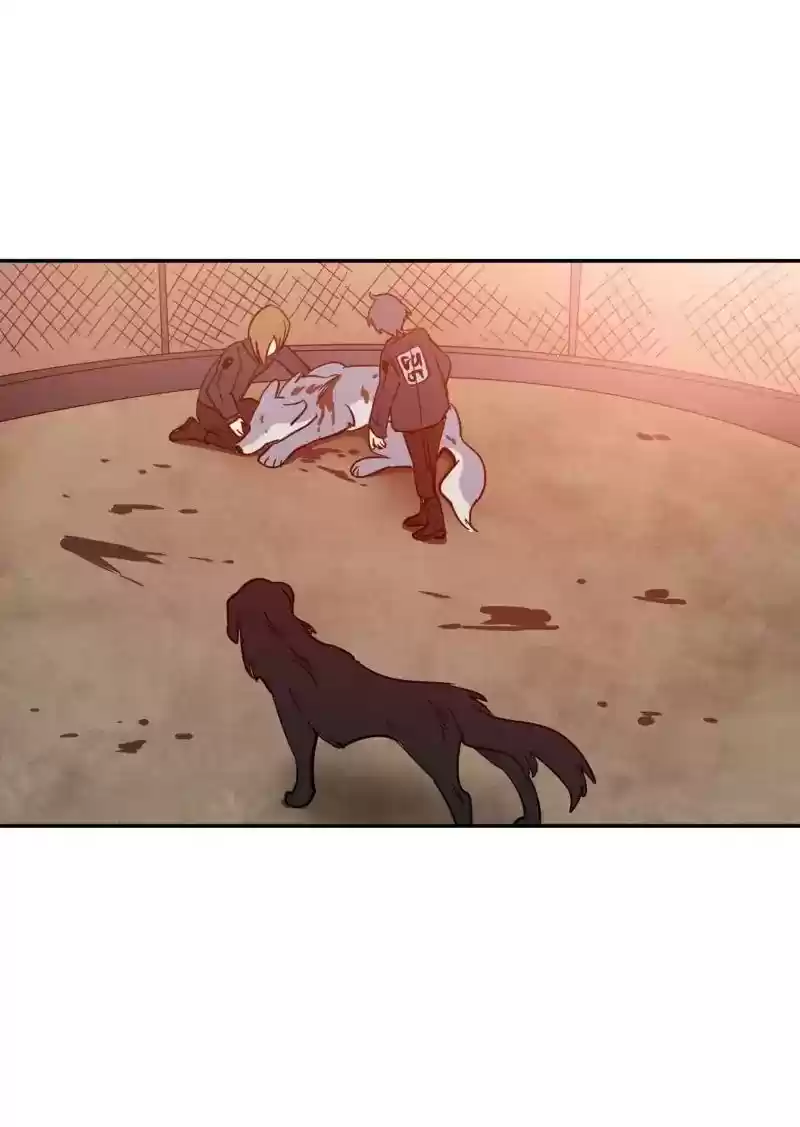 Read LUMINE Manga Online