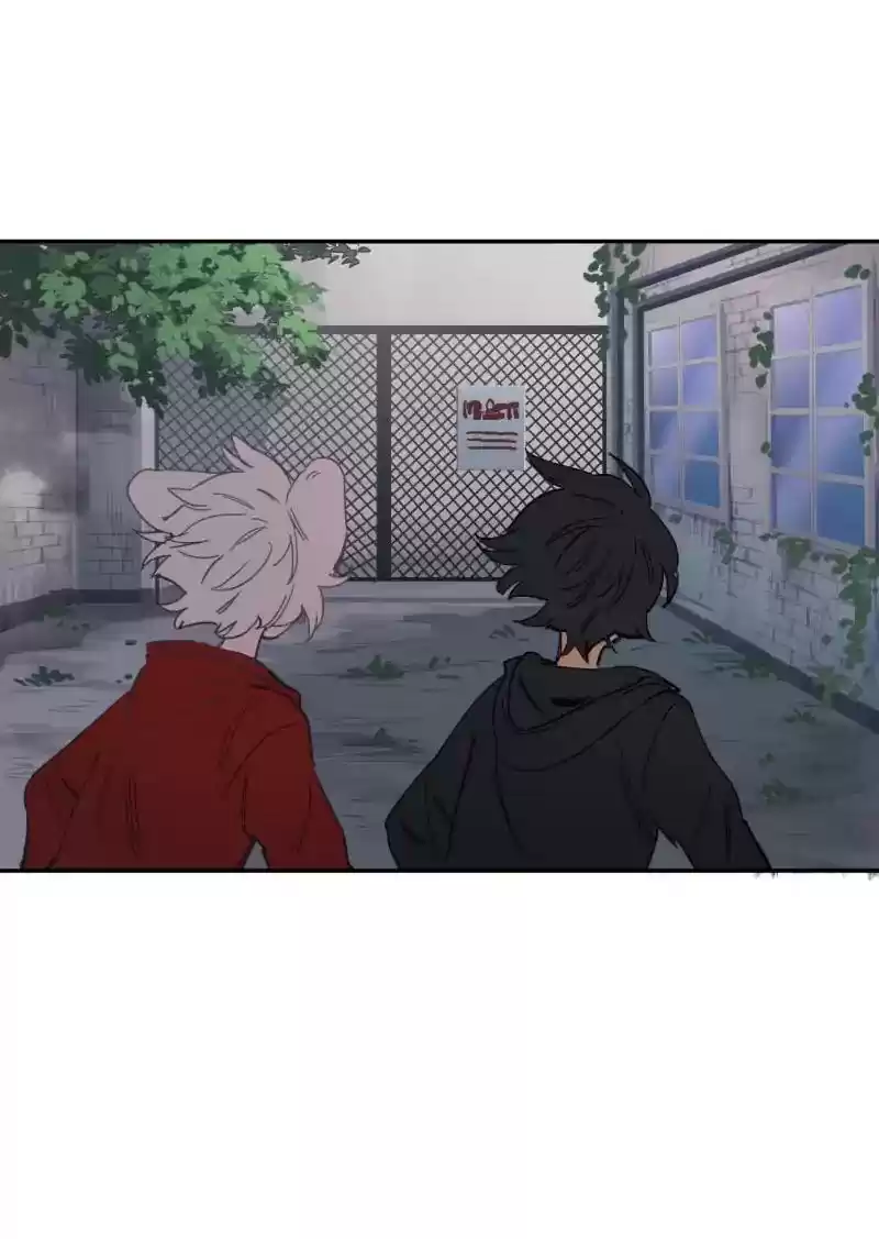 Read LUMINE Manga Online