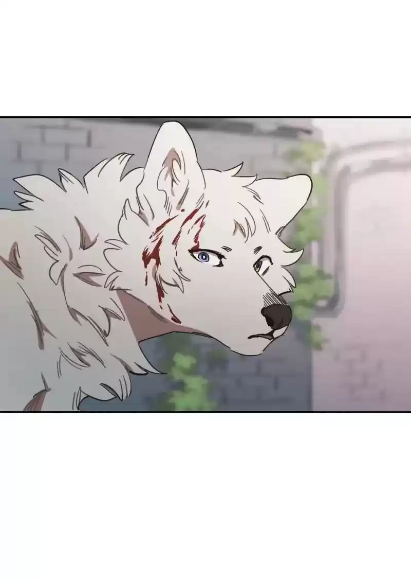 Read LUMINE Manga Online