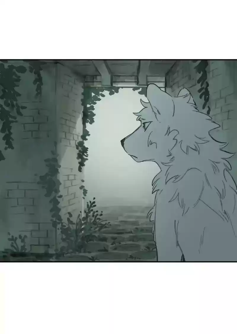 Read LUMINE Manga Online