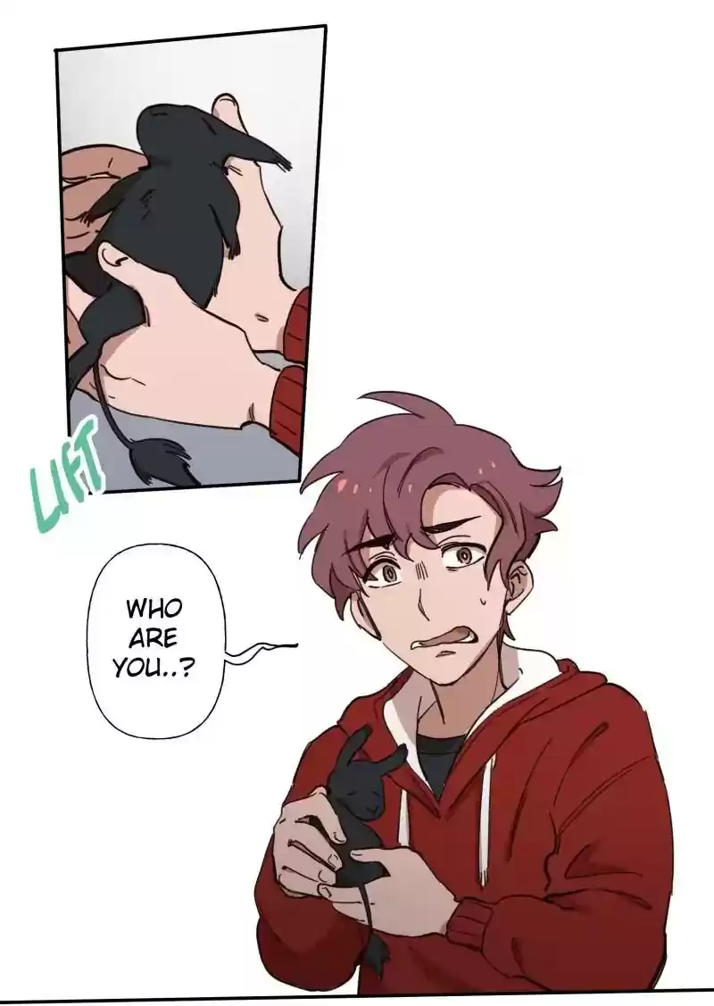 Read LUMINE Manga Online