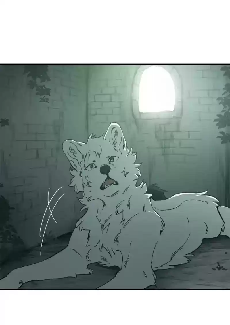 Read LUMINE Manga Online