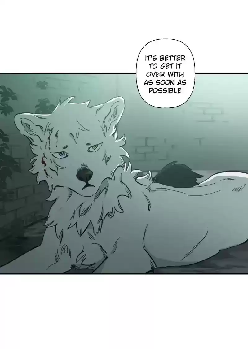 Read LUMINE Manga Online