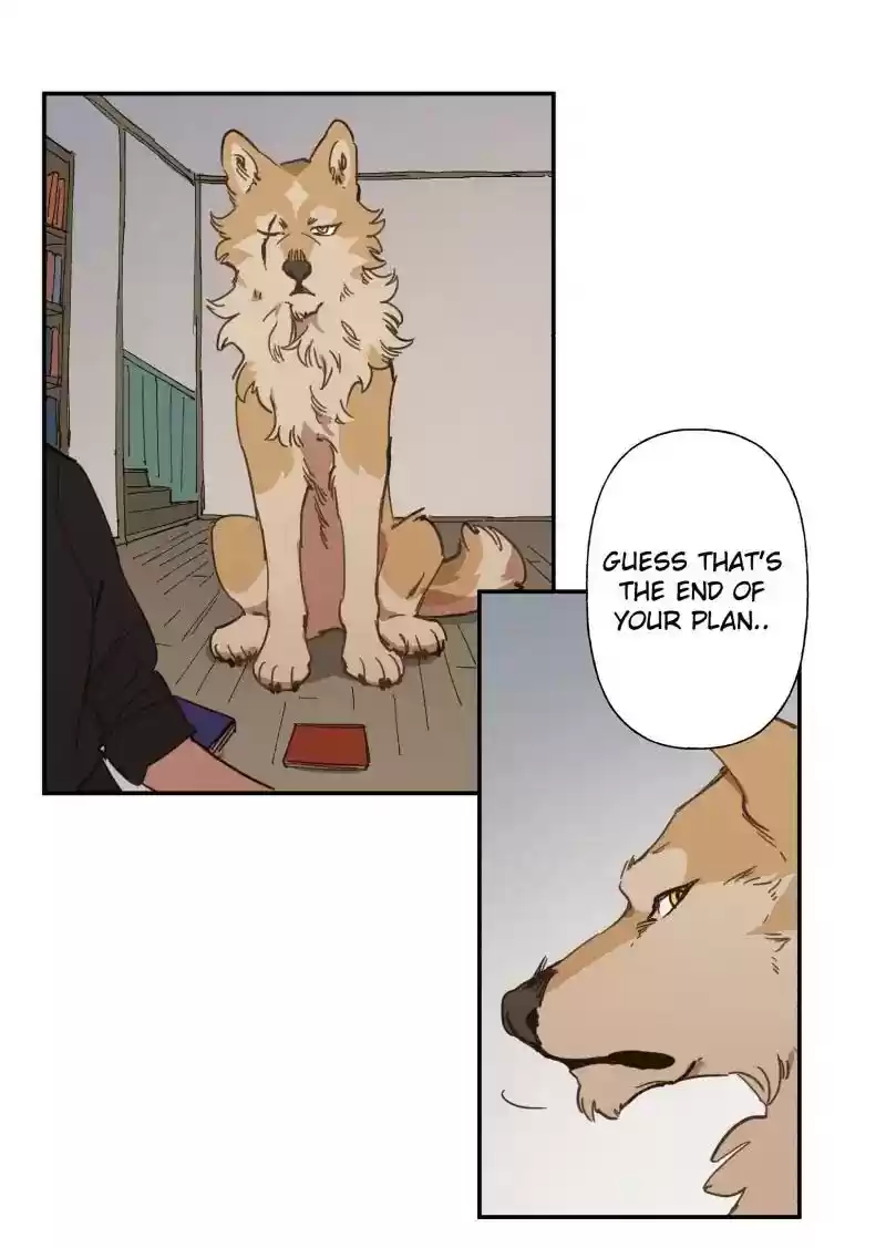 Read LUMINE Manga Online
