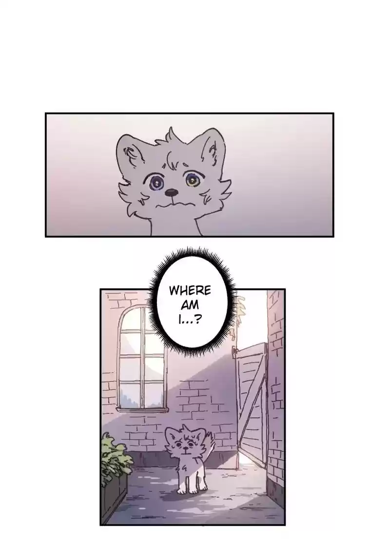 Read LUMINE Manga Online