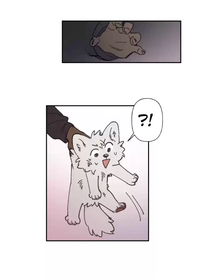 Read LUMINE Manga Online