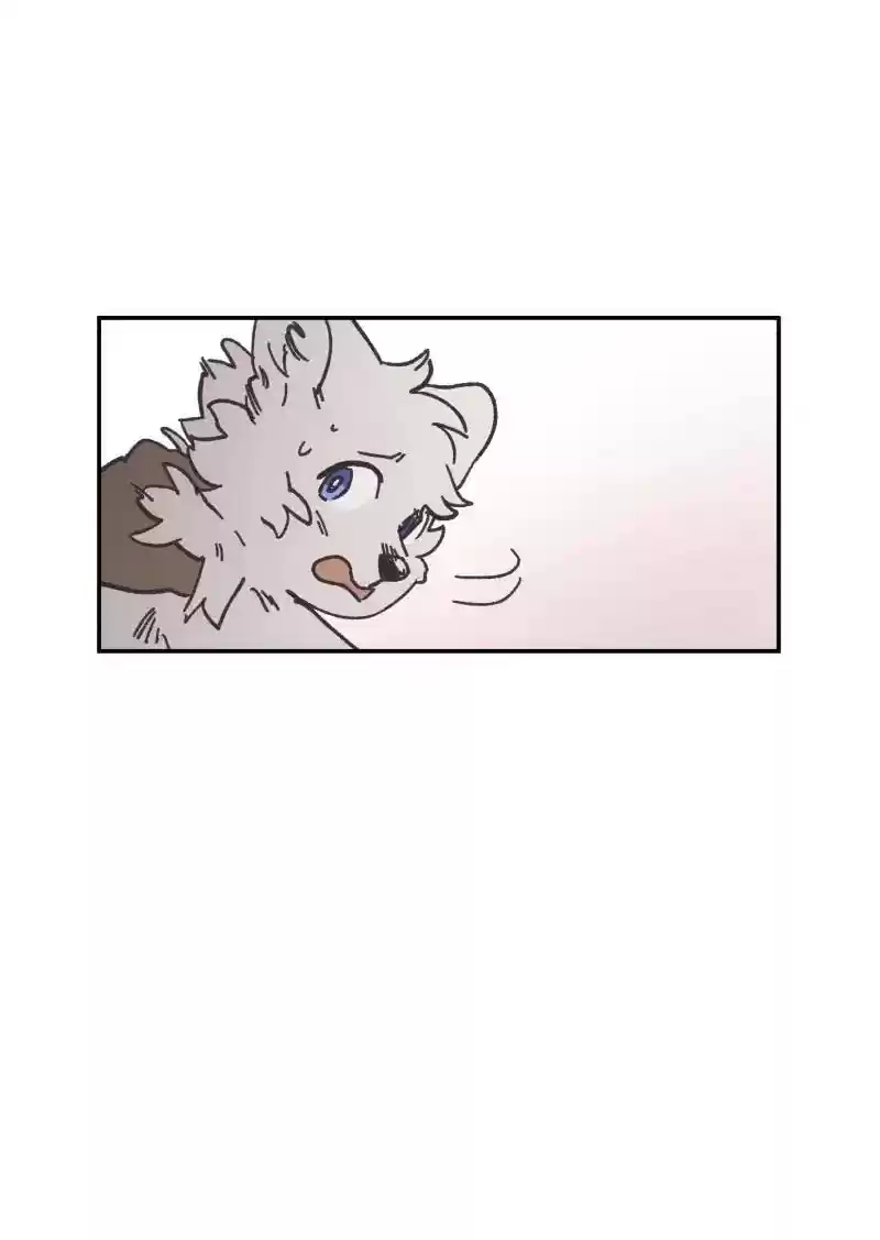 Read LUMINE Manga Online