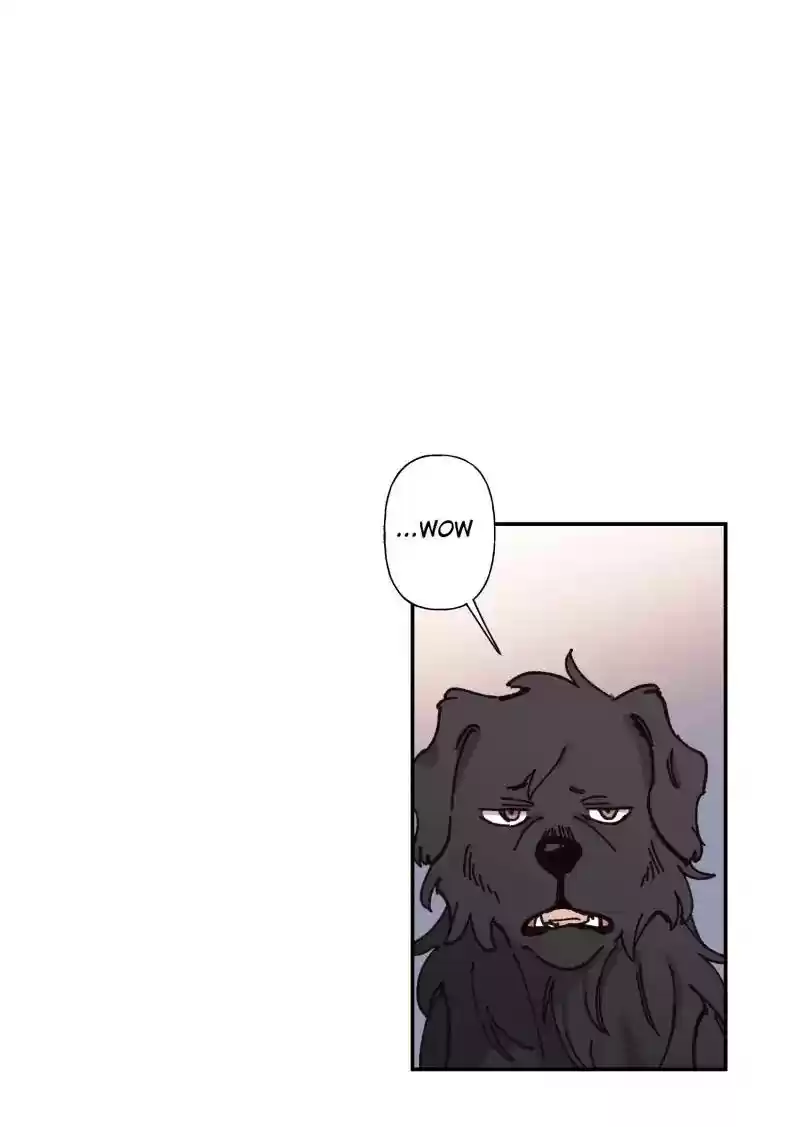 Read LUMINE Manga Online