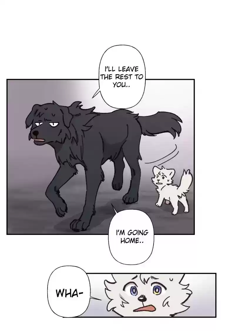 Read LUMINE Manga Online